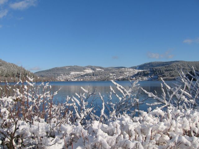 lacenhiver.jpg